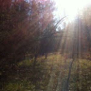 Meet your Posher, Stephen